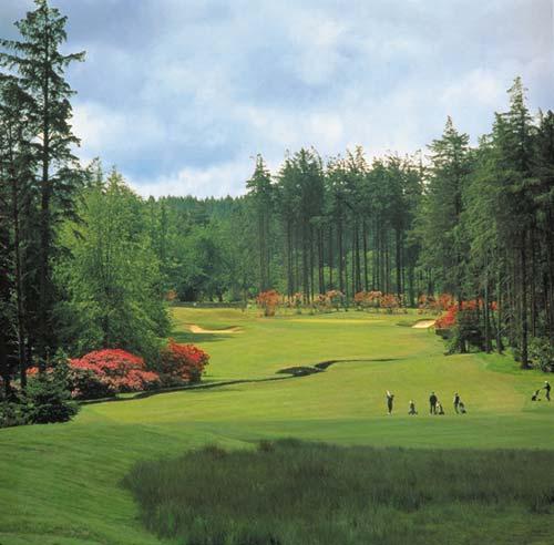 Resort Img