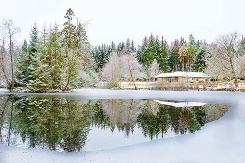 Resort Img